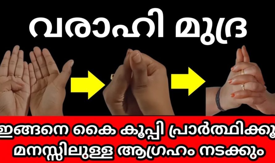 വരാഹി അമ്മയുടെ അനുഗ്രഹം ഉള്ള നാളുകാരെ അറിയാൻ.