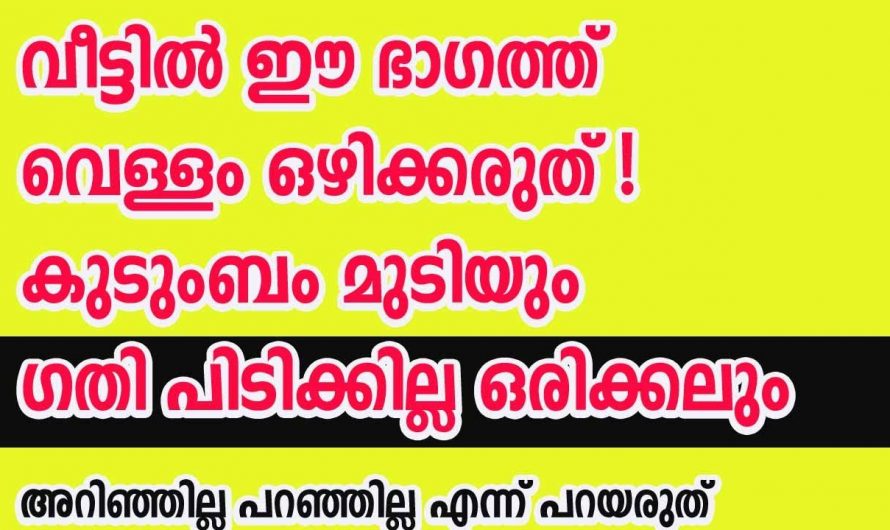 ഇത്തരം കാര്യങ്ങൾ നിങ്ങൾ ശ്രദ്ധിക്കാറുണ്ടോ? ഇത്തരം വിശ്വാസങ്ങൾ അറിയാതെ പോകുന്നത് വലിയ നഷ്ടമാകുന്നു.