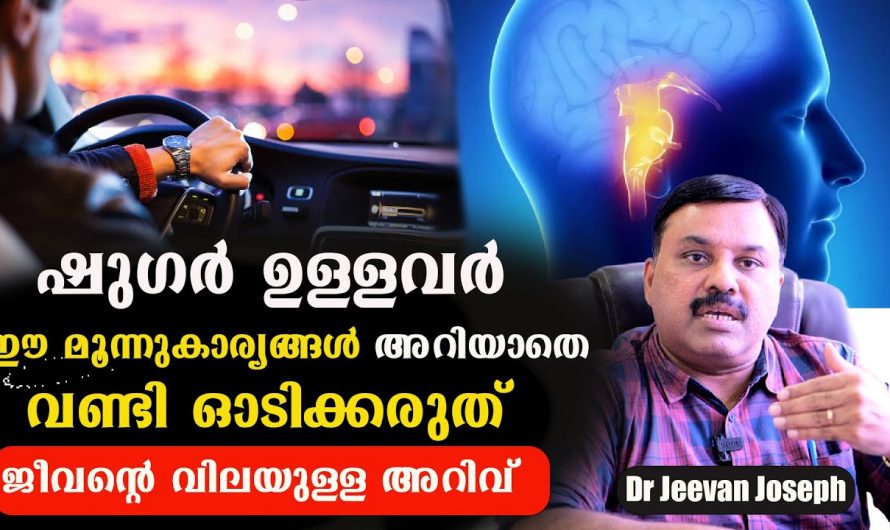 ഡ്രൈവ് ചെയ്യുമ്പോൾ ഷുഗർ ഉള്ളവർ തീർച്ചയായും ഇത് ശ്രദ്ധിക്കണം. ഇത്തരം കാര്യങ്ങൾ നിസ്സാരമായി കാണരുതേ…| Attention diabetics