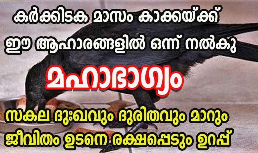 കർക്കിടക മാസത്തിൽ ഇങ്ങനെ ചെയ്താൽ ഫലപ്രാപ്തി ഉറപ്പാണ്. കണ്ടു നോക്കൂ.