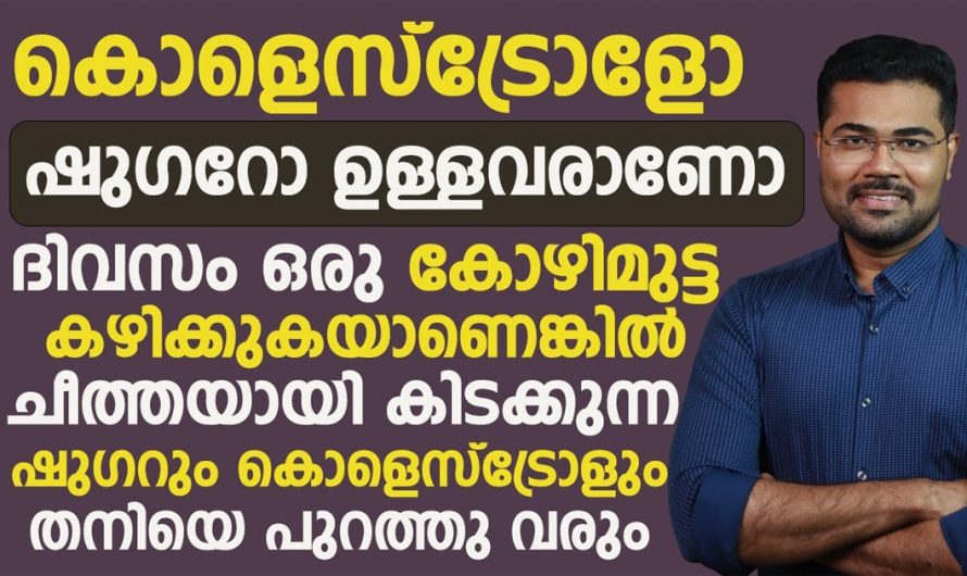 ദിവസവും മുട്ട കഴിക്കൂ നമ്മുടെ കൊഴുപ്പിനെയും ഷുഗറിനെയും ഇല്ലാതാക്കാം. കണ്ടു നോക്കൂ…| Diet for high sugar and cholesterol