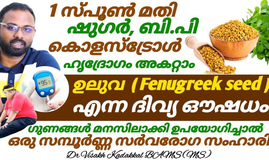 ഷുഗർ പ്രഷർ കൊളസ്ട്രോൾ കുറയ്ക്കാൻ ഇതിന്റെ ഉപയോഗം മാത്രം മതി. ഇത് നിസ്സാരമായി എടുക്കല്ലേ…| Fenugreek Health Benefits