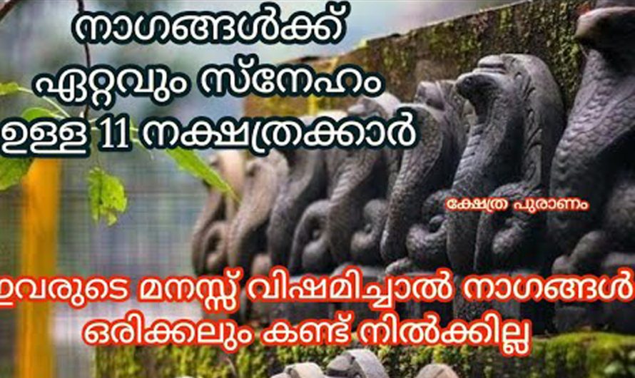 നാഗ ദൈവങ്ങളുടെ അനുഗ്രഹം നേരിട്ട് വന്നുചേരുന്ന  നക്ഷത്ര ജാഥക്കാരെ കുറിച്ച് അറിയാം. കണ്ടു നോക്കൂ.