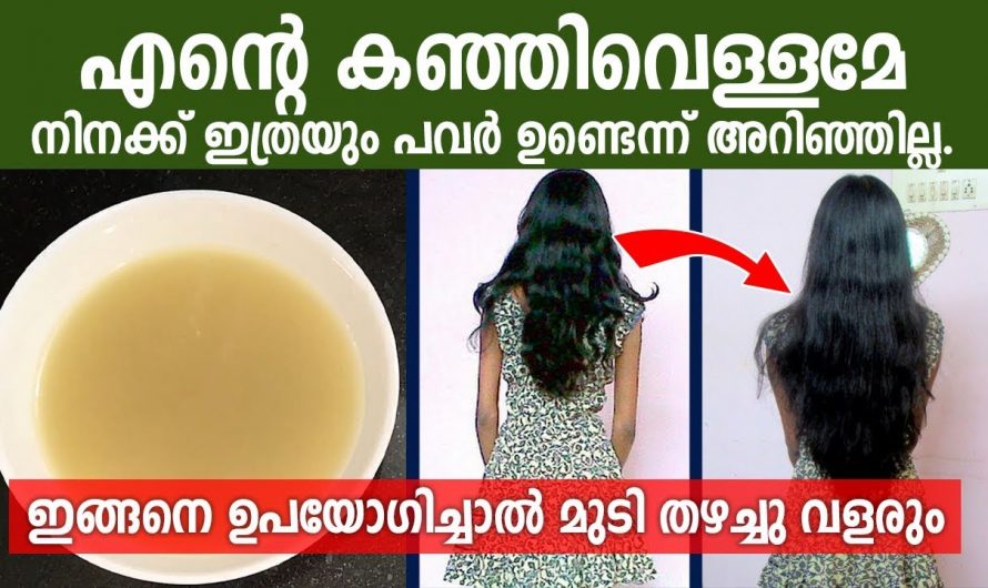 നമ്മുടെ വീടുകളിൽ ദിവസവും കളയുന്ന ഇത് മാത്രം മതി നമ്മുടെ മുടിയുടെ മൊത്തത്തിലുള്ള സംരക്ഷണത്തിന്. കണ്ടു നോക്കൂ…| Hair will grow