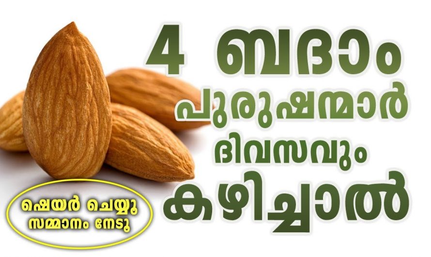 ബദാമിനെ ഇത്രയും ഗുണങ്ങൾ ഉണ്ടായിരുന്നോ? തുടർന്ന് വീഡിയോ കാണുക…| Badam benefits for male