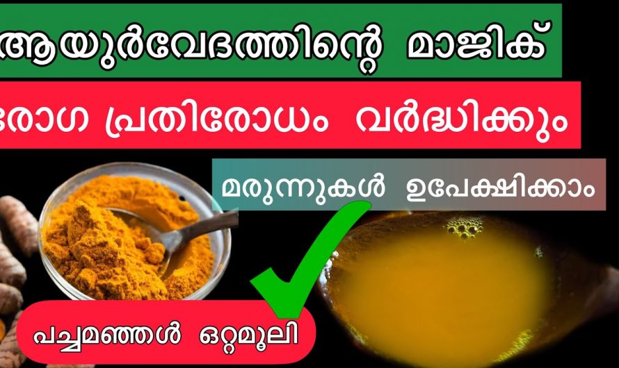 ഔഷധങ്ങളുടെ ഔഷധം എന്ന് വിശേഷിപ്പിക്കാവുന്ന ഇതിന്റെ ഗുണങ്ങളെ ആരും തിരിച്ചറിയാതെ പോകരുതേ…| Turmeric benefits in ayurveda