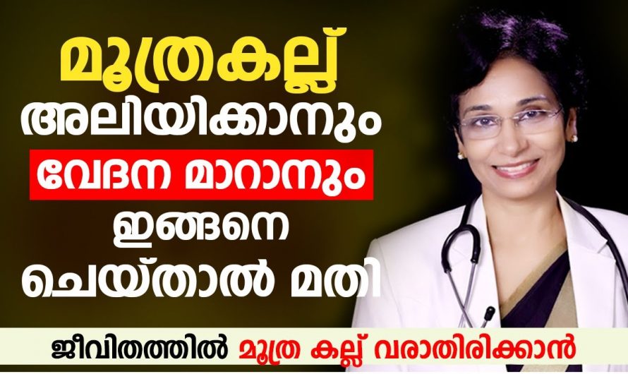 കിഡ്നി സ്റ്റോൺ നിങ്ങളെ അലട്ടുന്ന ഒരു പ്രശ്നമാണോ ? എങ്കിൽ ഇത്തരം കാര്യങ്ങൾ ആരും അറിയാതെ പോകരുതേ…| Kidney stone symptoms