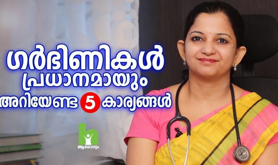 ഗർഭസ്ഥകാലം സുഗമമാക്കാൻ  ഇത്തരം കാര്യങ്ങൾ അറിഞ്ഞേ മതിയാവൂ കണ്ടു നോക്കൂ…| Pregnancy Malayalam Health Tips