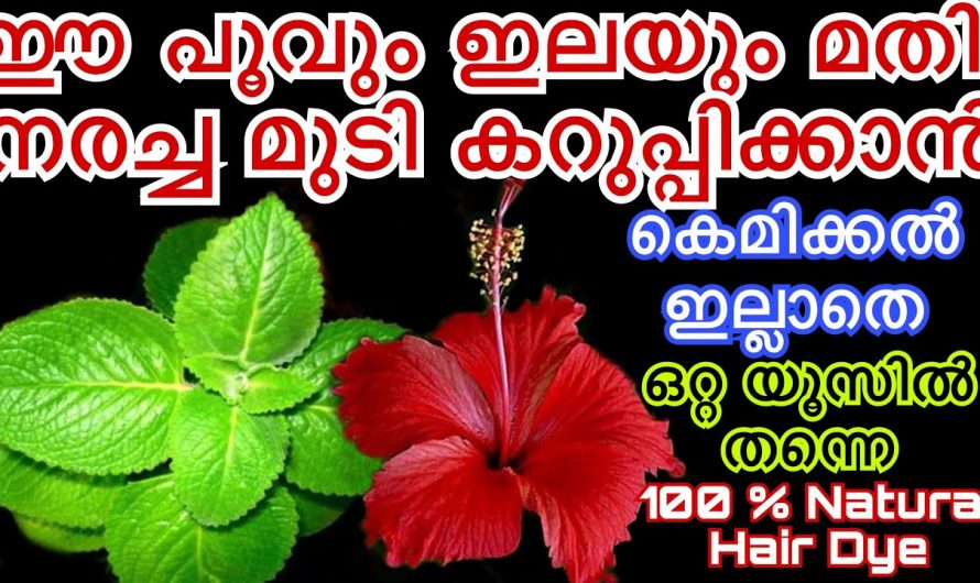 നരച്ച മുടി വെളുപ്പിക്കാൻ ഇതിലും നല്ലൊരു മാർഗം വേറെയില്ല. കണ്ടു നോക്കൂ…| Natural Hair Dye