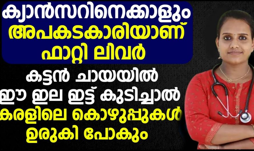 ജീവനെ ഭീഷണിയായ ഫാറ്റി ലിവറിനെ ആരും നിസ്സാരമായി കാണരുതേ…| Fatty liver natural treatment