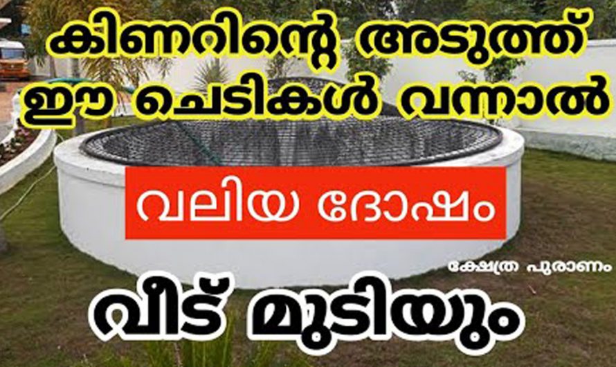 കിണറുകൾ നമുക്ക് ദോഷമായി ഭവിക്കുന്ന ഇത്തരം കാര്യങ്ങൾ ഇതുവരെയും അറിയാതെ പോയല്ലോ ഭഗവാനെ.