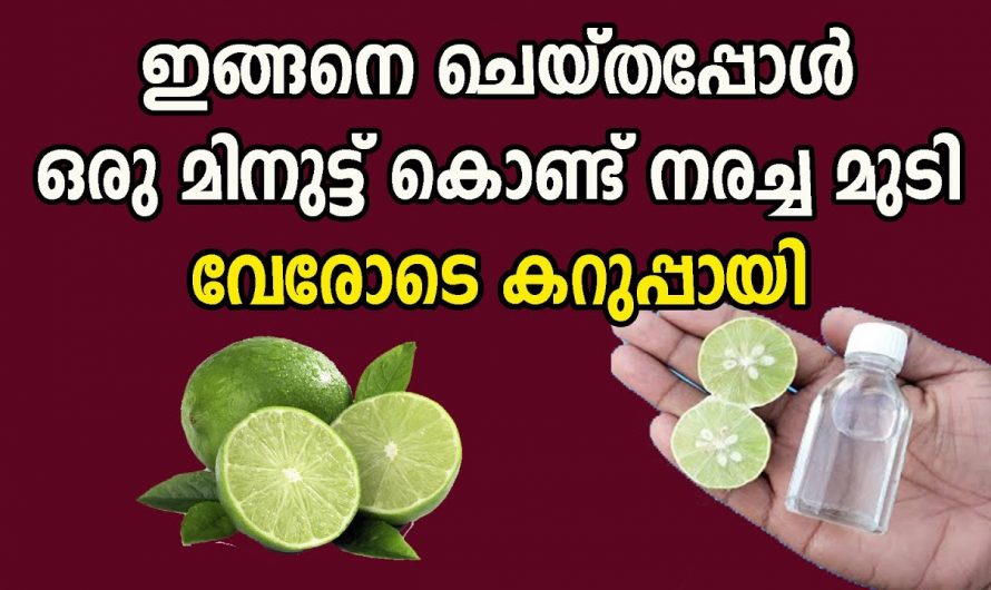 മുടിയിഴകളിലെ നരയെ വേരോടെ പിഴിതറിയാൻ ഇത്രയ്ക്ക് എളുപ്പമായിരുന്നോ? അനുഭവിച്ചറിയൂ.