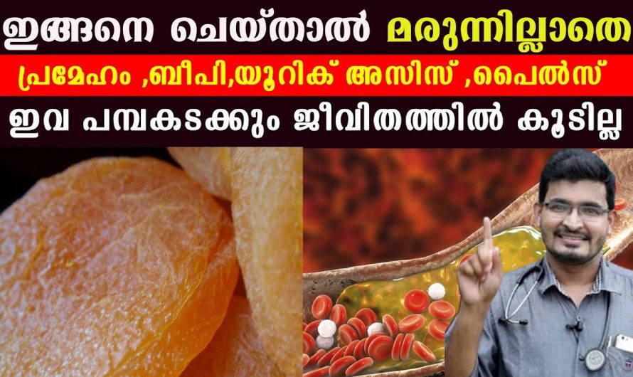 ജീവിതശൈലി രോഗങ്ങളെ മറികടക്കാൻ ഇത്രമാത്രം ശ്രദ്ധിച്ചാൽ മതി.  ഇത് ആരും കാണാതെ പോകരുതേ.