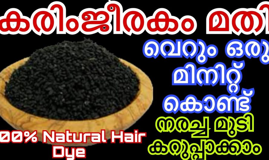 മുടിയിലെ നര ഞൊടിയിടയിൽ തന്നെ പരിഹരിക്കാം.  ഇത്തരം രീതികളെ കാണാതെ പോകരുതേ…| Natural Hair Dye