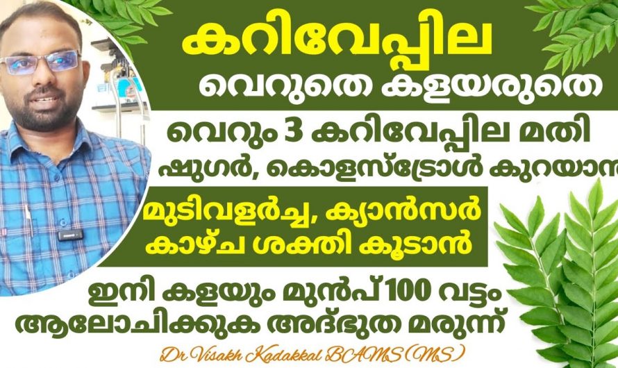 ഈയൊരു ഇല ദിവസവും മൂന്നെണ്ണം വീതം കഴിക്കൂ. നമ്മുടെ ജീവിതത്തിൽ ഉണ്ടാകുന്ന ഇത്തരം മാറ്റങ്ങൾ തിരിച്ചറിയൂ…| Curry Leaf Benefits