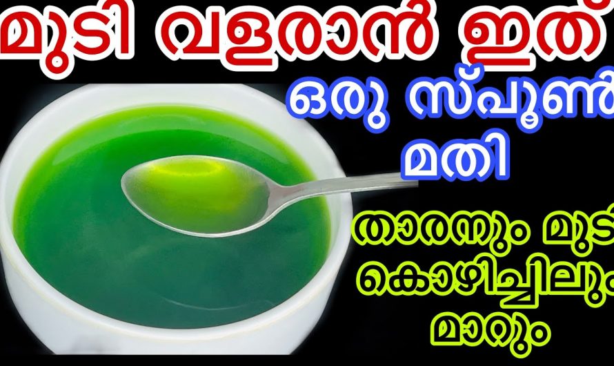 മുടികളുടെ സംരക്ഷണത്തിന് ഏറ്റവും അനുയോജ്യമായ ഈ ഇല ആരും പ്രയോജനപ്പെടുത്താതെ പോകരുതേ…| Preperation of Curry Leaves Hair Oil