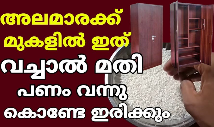 3 വസ്തുക്കൾ മാത്രം മതി നമ്മുടെ ജീവിതത്തിലെ സങ്കടങ്ങളും ദോഷങ്ങളും മാറി സാമ്പത്തിക നേട്ടം കൈവരിക്കാൻ.