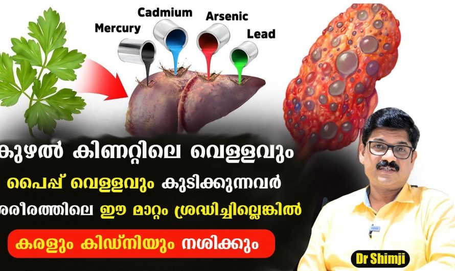 നാം കഴിക്കുന്ന ഭക്ഷണപദാർത്ഥങ്ങളിൽ എത്രമാത്രം രാസവസ്തുക്കൾ അടങ്ങിയിട്ടുണ്ടെന്ന് നിങ്ങൾക്കറിയാമോ? ഇതൊന്നു കണ്ടു നോക്കൂ…| Chemical substance health effects