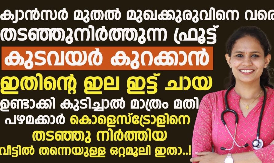 ഇതിന്റെ ഇലയും കായും ഔഷധഗുണങ്ങളാൽ സമ്പുഷ്ടമാണ്. ഇതിന്റെ ഗുണങ്ങളെ കുറിച്ച് ഇതുവരെയും അറിയാതെ പോയല്ലോ…| Cholesterol lowering foods