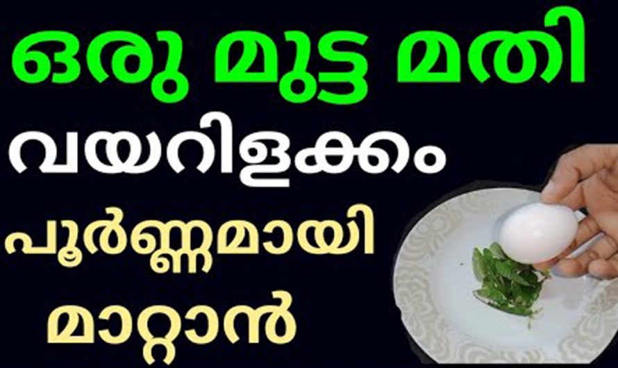 കുട്ടികളെയും മുതിർന്നവരെയും ബാധിക്കുന്ന വയറിളക്കം മാറാൻ ഇത് മാത്രം മതി കണ്ടു നോക്കൂ…| Loose Motion Treatment