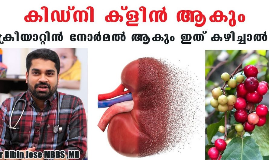 പ്രോട്ടീൻ പൗഡറുകളും പ്രോട്ടീൻ അടങ്ങിയിട്ടുള്ള ഭക്ഷണങ്ങളും അമിതമായി കഴിക്കുന്നവരാണോ നിങ്ങൾ? എങ്കിൽ ഇത്തരം കാര്യങ്ങൾ  അറിയാതെ പോകരുതേ…| Creatinine normal range