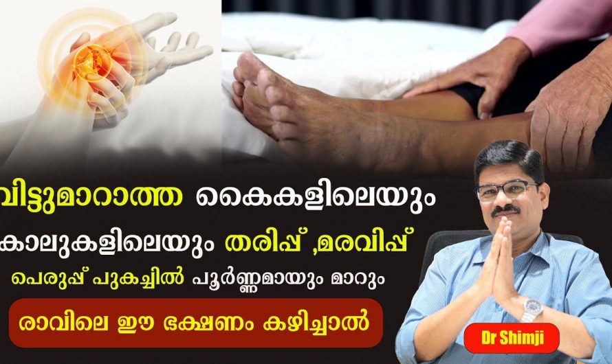 കൈകാലുകളിലെ വിട്ടുമാറാത്ത തരിപ്പ് മരവിപ്പ് എന്നന്നേക്കുമായി മാറ്റാൻ ഇത്രയ്ക്ക് എളുപ്പമായിരുന്നോ? കണ്ടു നോക്കൂ…| Causes of Peripheral Neuropathy