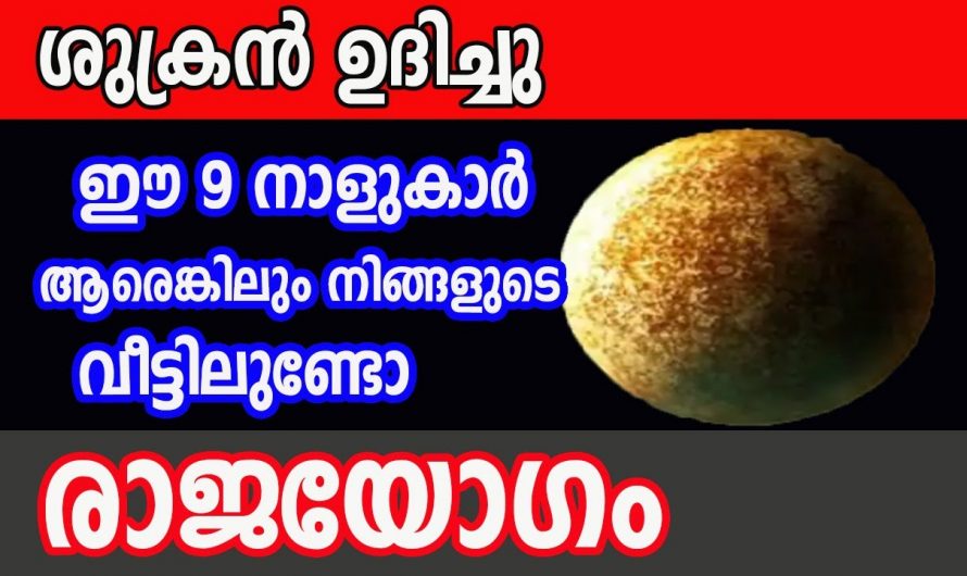 രാജയോഗ സമമായ നേട്ടങ്ങൾ കൊയ്യുന്ന ഈ നക്ഷത്രക്കാരെ നിങ്ങൾ തിരിച്ചറിയാതെ പോകരുതേ.