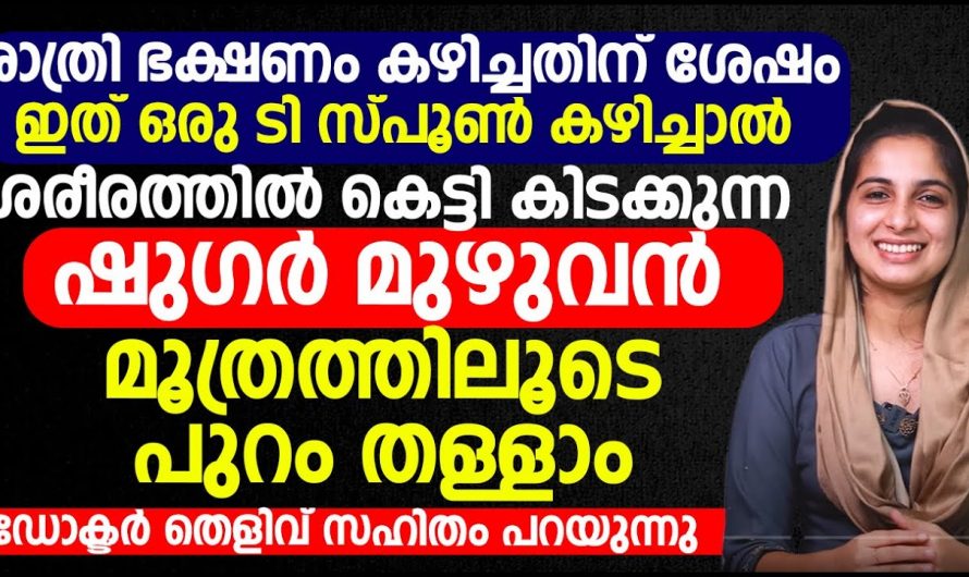 അനിയന്ത്രിതമായിട്ടുള്ള ഷുഗർ നിങ്ങളിൽ ഉണ്ടോ? എങ്കിൽ ഇത് ഉപയോഗിക്കൂ. ഇതിന്റെ മേന്മകളെ ആരും കാണാതെ പോകരുതേ…| Foods lower blood sugar immediately