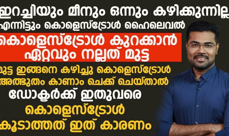 കൊളസ്ട്രോൾ ജീവിതത്തിൽ ഒരിക്കലും വരാതിരിക്കാൻ ഡയറ്റ് പ്ലാനിൽ ഇത് ഉൾപ്പെടുത്തൂ. ഇതുവഴി ഉണ്ടാകുന്ന നേട്ടങ്ങളെ ആരും കണ്ടില്ല എന്ന് നടിക്കരുതേ…| 15 foods that lower cholesterol