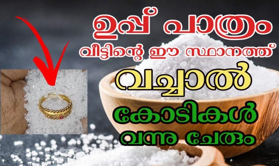 ജീവിതം ആനന്ദകരമാകാൻ ഈ ഒരു കാര്യം ശ്രദ്ധിച്ചാൽ മാത്രം മതി. ഇതിനെ ആരും അവഗണിക്കരുതേ.