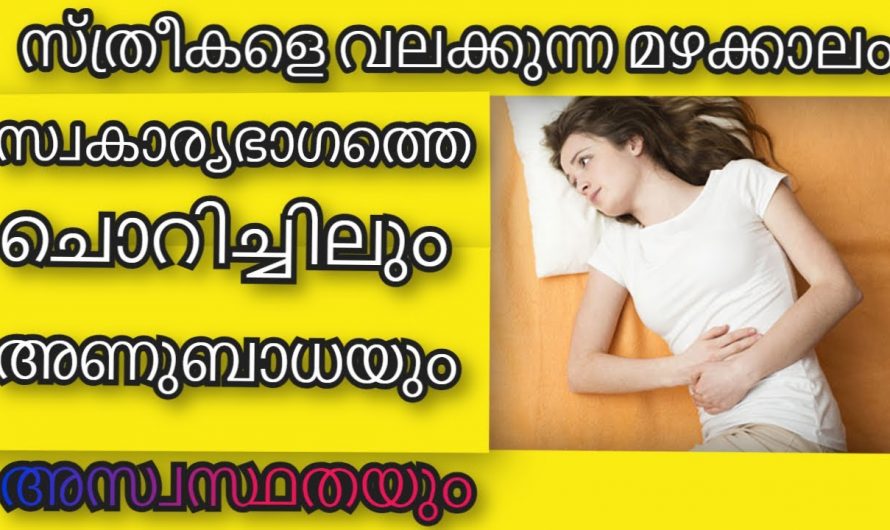 മഴക്കാലത്ത് സ്ത്രീകൾക്ക് ഉണ്ടാകുന്ന അണുബാധയെ പൂർണമായി ചെറുക്കാം. ഇത്തരം കാര്യങ്ങൾ ആരും അറിയാതെ പോകരുതേ…| 10 best health tips for women