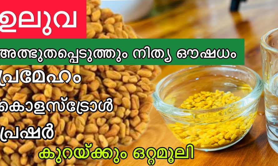 ഷുഗർ പ്രഷർ കൊളസ്ട്രോൾ എന്നിവയെ പൂർണ്ണമായി അലിയിച്ചു കളയാൻ ഇതിനെ ഉപയോഗിക്കാം. ഇതിന്റെ ഗുണങ്ങളെ ആരും കാണാതെ പോകരുതേ…| Fenugreek benefits for females