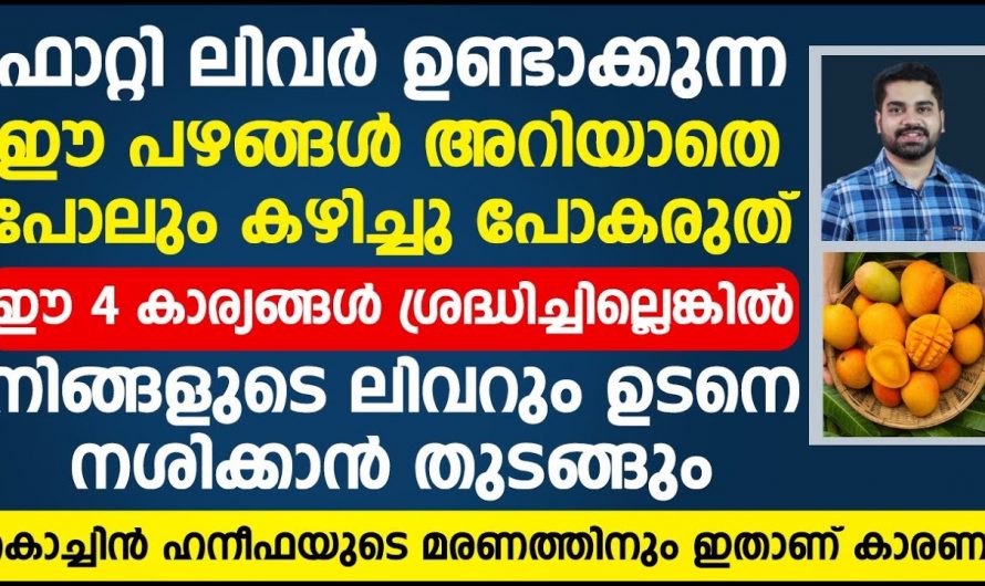 ഇത്തരം പദാർത്ഥങ്ങളെ അറിയാതെ പോലും ആരും കഴിക്കരുത്. ഇത് വരുത്തിവെക്കുന്ന വിനാശത്തെക്കുറിച്ച് ആരും തിരിച്ചറിയാതെ പോകരുതേ…| Fatty liver symptoms in females