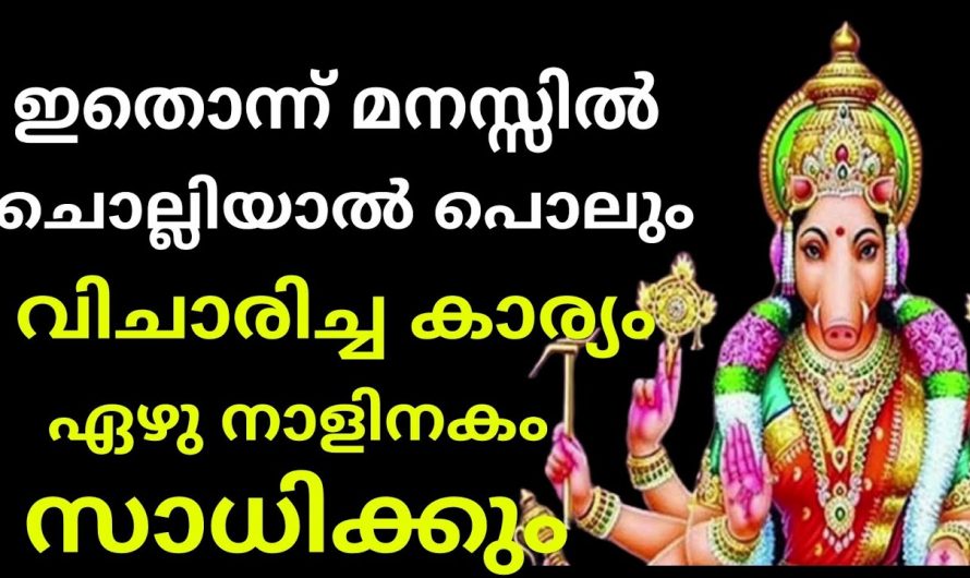ജീവിതത്തിൽ ആഗ്രഹിക്കുന്ന ഏതൊരു കാര്യവും ഇനി ദിവസങ്ങൾക്കകം നടക്കും. ഈ മന്ത്രം ജപിക്കൂ. ഇത് നമുക്ക് തരുന്ന നേട്ടങ്ങളെ ആരും നിസ്സാരമായി കാണരുതേ.