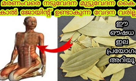 Health benefits of bay leaf