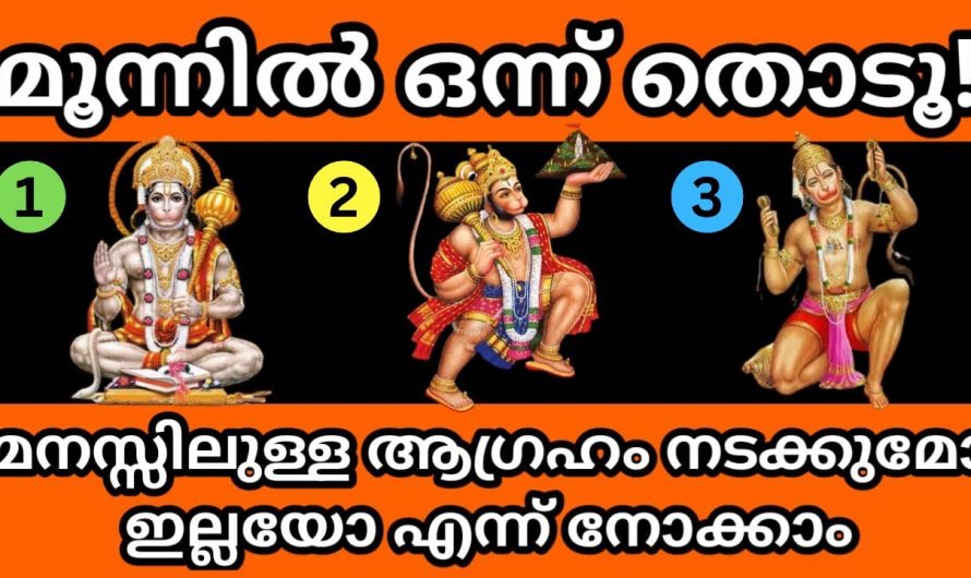 ഇവയിൽ ഒന്നു തൊടു. ഇതുവഴി ജീവിതത്തിൽ ഉണ്ടാകുന്ന നേട്ടങ്ങളെ കുറിച്ച് ആരും കാണാതെ പോകരുതേ.