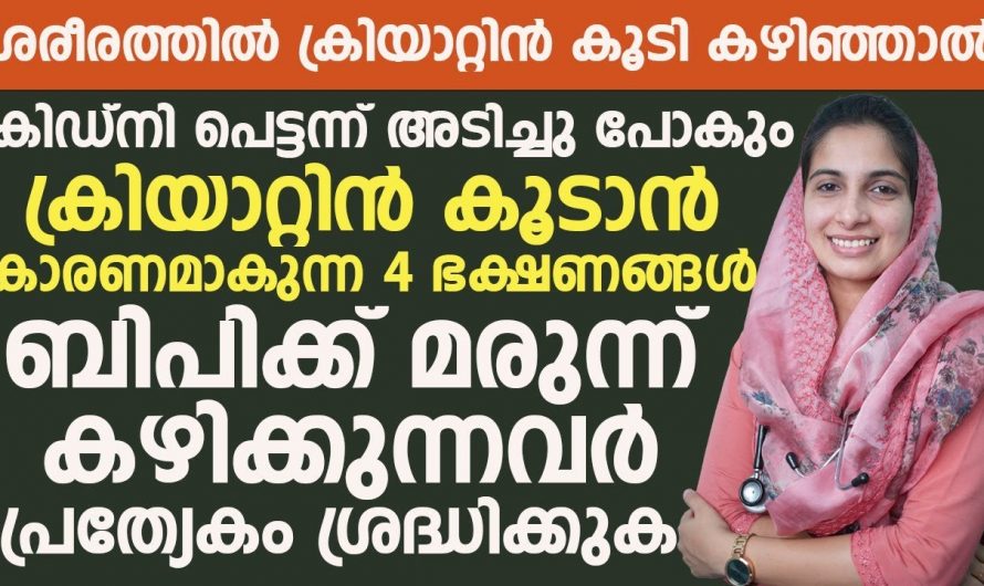 പ്രോട്ടീൻ പൗഡർ അമിതമായി ഉപയോഗിക്കുന്നവരാണോ ? എങ്കിൽ ഇത്തരം  കാര്യങ്ങൾ ആരും കാണാതെ പോകരുതേ…|  Is 2.9 creatinine level dangerous