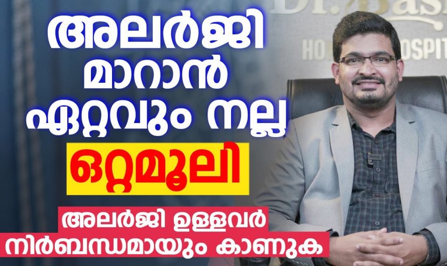 അലർജിയെ പൂർണമായി ഒഴിവാക്കാൻ ഇവ ശ്രദ്ധിച്ചാൽ മാത്രം മതി. ഇതിനെ ആരും നിസ്സാരമായി തള്ളിക്കളയരുതേ…| Allergy and asthma care