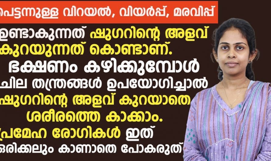 പ്രമേഹ രോഗികളിൽ പെട്ടെന്നുണ്ടാകുന്ന വിയർപ്പ് മരവിപ്പ് വിറയൽ എന്നിവഅവരെ തളർച്ചയിലേക്ക് നയിക്കുന്നു.കണ്ടു നോക്കൂ…| sugar decrease symptoms