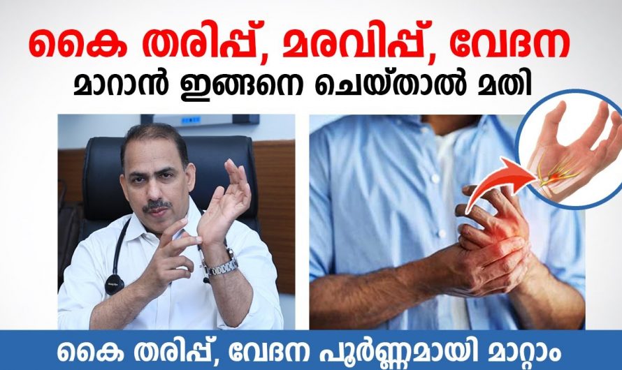 എത്ര വലിയ കൈകളിലെ തരിപ്പിനെയും മരവിപ്പിനെയും ഇല്ലാതാക്കാൻ ഇത്രയ്ക്ക് എളുപ്പമായിരുന്നോ? കണ്ടു നോക്കൂ…| Carpal tunnel exercises