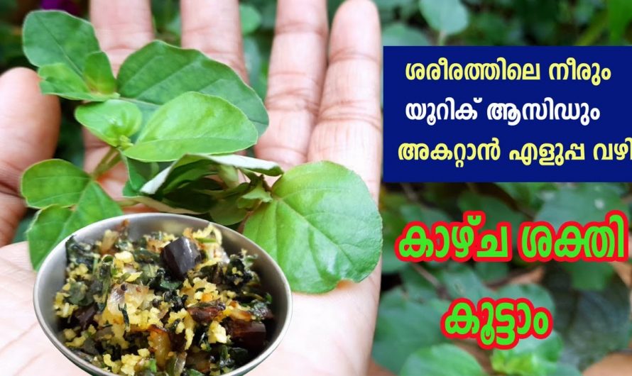 യൂറിക് ആസിഡിനെയും കിഡ്നി സ്റ്റോണിനെയും ഞൊടിയിടയിൽ പരിഹരിക്കാൻ ഈയൊരു ഇല മതി. ഇതിന്റെ ഗുണങ്ങൾ ആരും അറിയാതെ പോകരുതേ…| How to Reduce Swelling Uric Acid