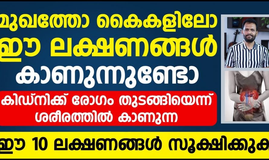 അമിതമായിട്ടുള്ള ക്ഷീണവും തളർച്ചയും നിങ്ങളിൽ പ്രകടമാകാറുണ്ടോ?  എങ്കിൽ ഇതിനെ ആരും നിസ്സാരമായി തള്ളിക്കളയരുതേ…| Kidney disease causes