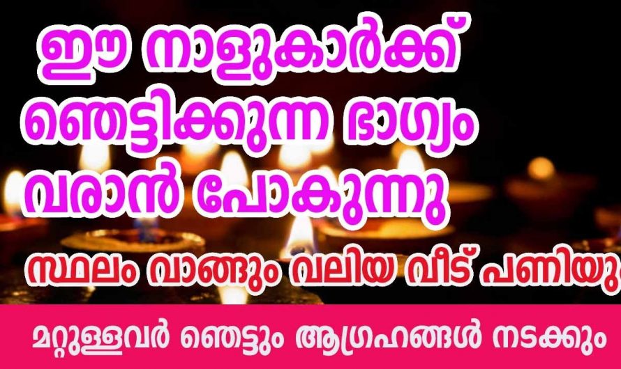 ഞെട്ടിക്കുന്ന തരത്തിലുള്ള നേട്ടങ്ങൾ സ്വന്തമാക്കാൻ പ്രാപ്തമായിട്ടുള്ള ഈ നക്ഷത്രക്കാരെ ആരും തിരിച്ചറിയാതെ പോകരുതേ.