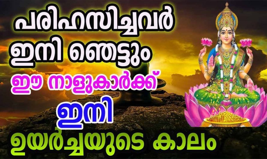 ജീവിതത്തിൽ ഞെട്ടിക്കുന്ന തരത്തിൽ ഉയർച്ച ഉണ്ടാകുന്ന ഈ നക്ഷത്രക്കാരുടെ നേട്ടങ്ങളെ ആരും അറിയാതെ പോകരുതേ.