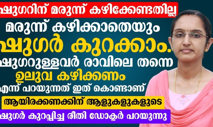 അനിയന്ത്രിതമായ ഷുഗറിനെ ദിവസങ്ങൾക്കുള്ളിൽ നിയന്ത്രണ വിധേയമാക്കാം. ഇത്തരം കാര്യങ്ങൾ ആരും നിസ്സാരമായി തള്ളിക്കളയരുതേ…| Sugar control tips