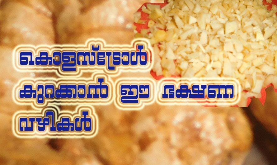 കൊളസ്ട്രോളിനെ അതിവേഗം നിയന്ത്രണവിധേയമാക്കാൻ ഇത്തരം മാർഗ്ഗങ്ങൾ ഉപയോഗിക്കൂ. ഇതാരും കാണാതെ പോകരുതേ…| Cholesterol Lowering Foods