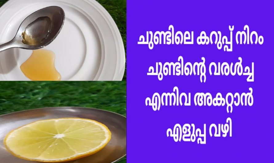 ചുണ്ടുകളിലെ കറുത്ത നിറം മാറ്റാൻ ഇത്രയ്ക്ക് എളുപ്പമായിരുന്നോ? ഇത്തരം മാർഗ്ഗങ്ങൾ ആരും കാണാതെ പോകല്ലേ…| To Get Soft Pink Lips Naturally