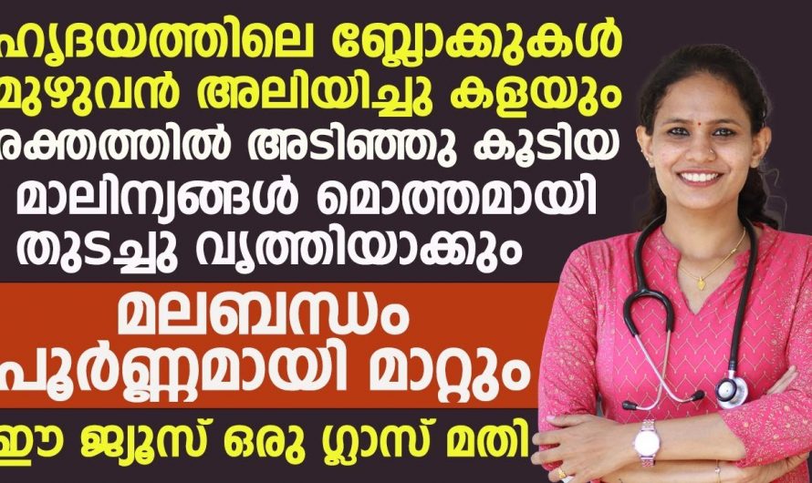 ജീവിതത്തിൽ വന്നേക്കാവുന്ന എല്ലാ രോഗങ്ങളെയും തടയാൻ ഇത് ഒരു ഗ്ലാസ് മതി. കണ്ടു നോക്കൂ…| Heart block removal