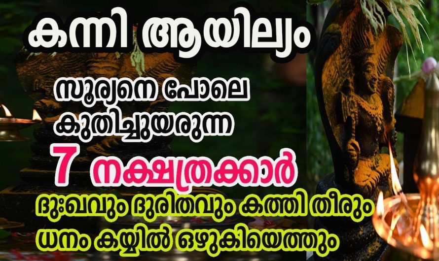 നാഗകൃപയാൽ തൊട്ടതെല്ലാം പൊന്നാകുന്ന ഈ നക്ഷത്രക്കാരെ ആരും തിരിച്ചറിയാതെ പോകരുതേ.