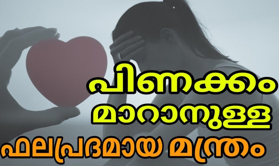 ഭാര്യ ഭർത്താക്കന്മാർ തമ്മിലുള്ള പിണക്കങ്ങളും കലഹങ്ങളും ജീവിതത്തിൽ ഒരിക്കലും ഉണ്ടാകാതിരിക്കുന്നതിനുളള ഈ കർമ്മം ഇതുവരെയും അറിയാതെ പോയല്ലോ ഈശ്വരാ.